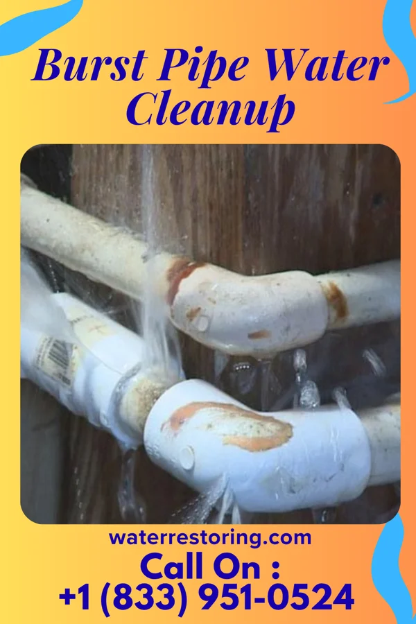 Burst Pipe Water Cleanup in Brimfield, IL