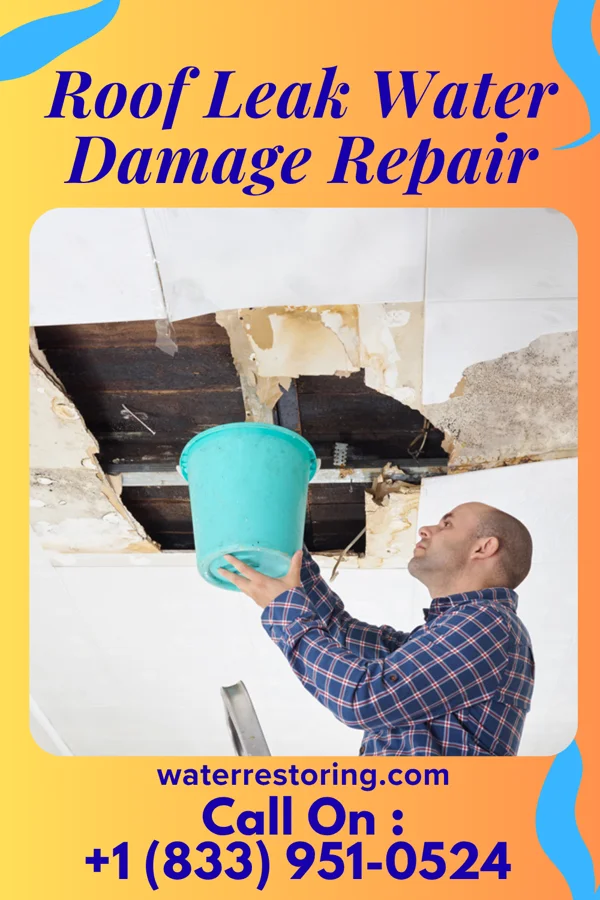 Roof Leak Water Damage Repair in Brimfield, IL