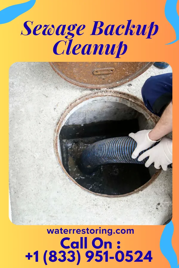Sewage Backup Cleanup in Brimfield, IL