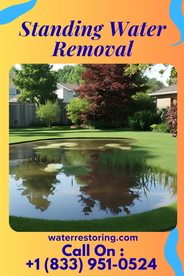 Standing Water Removal in Brimfield, IL